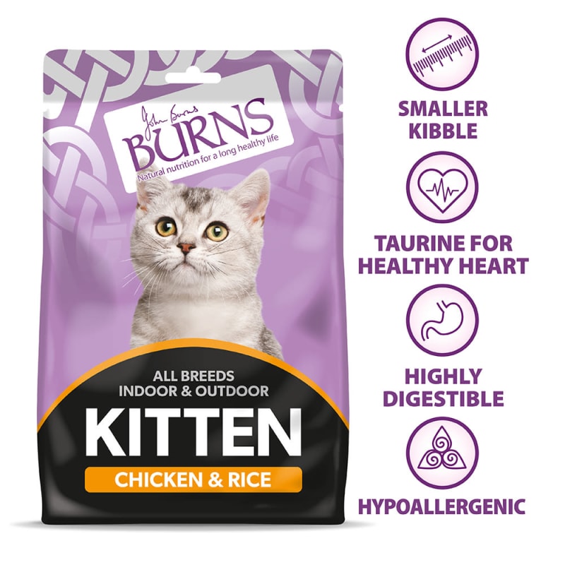 Burns 2025 kitten food