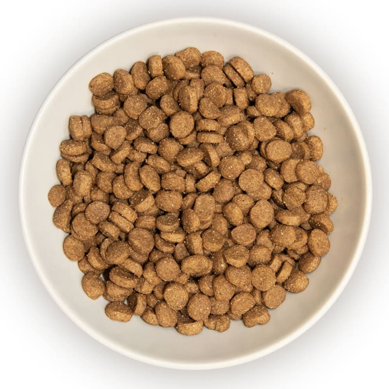 Burns Kitten Dry Cat Food Chicken Pet Supermarket
