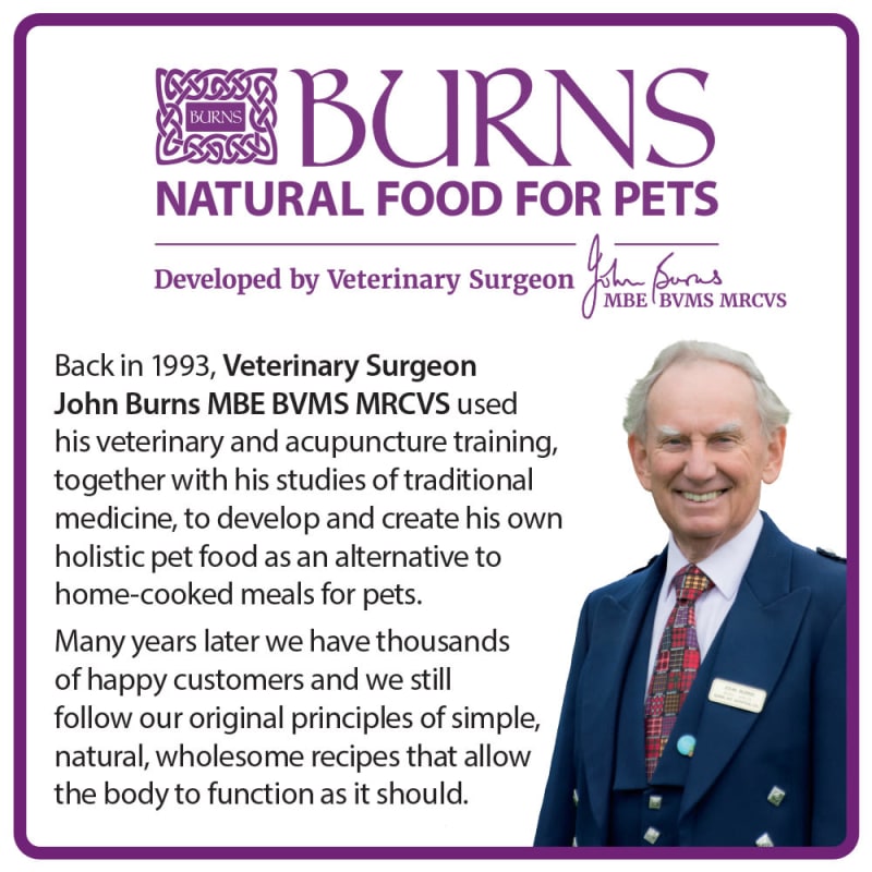 Burns sales kitten food