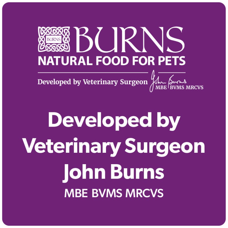 Burns Kitten Dry Cat Food Chicken Pet Supermarket