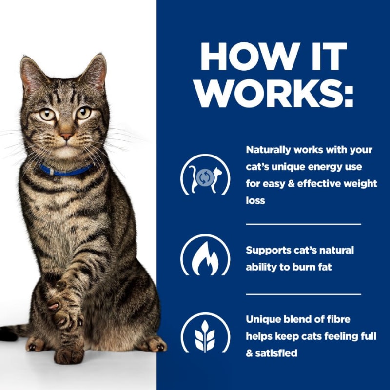 Feline deals metabolic treats