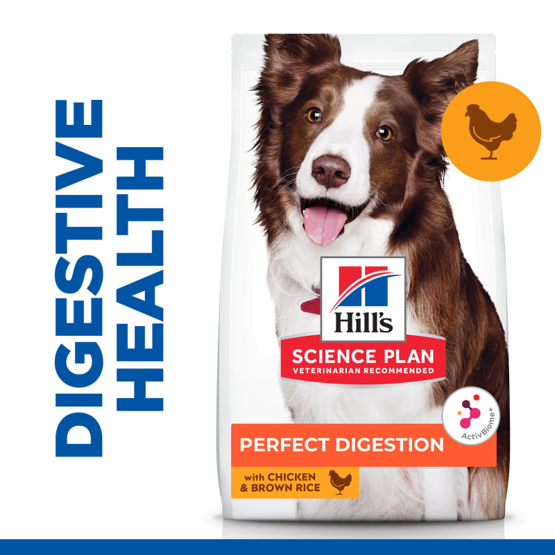 Exclusive chicken and rice dog food outlet