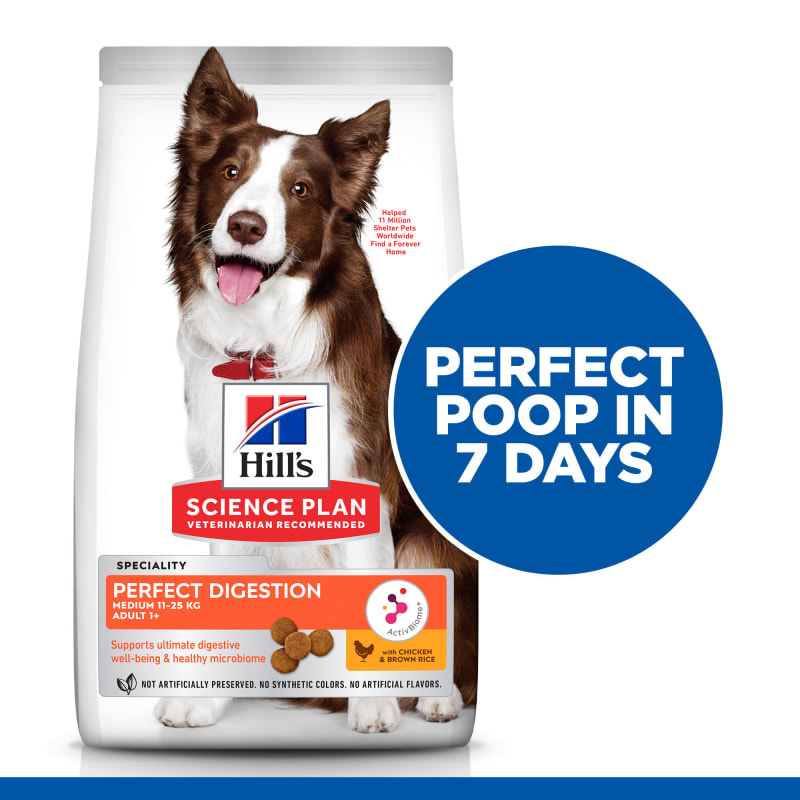Rd science diet dog food top