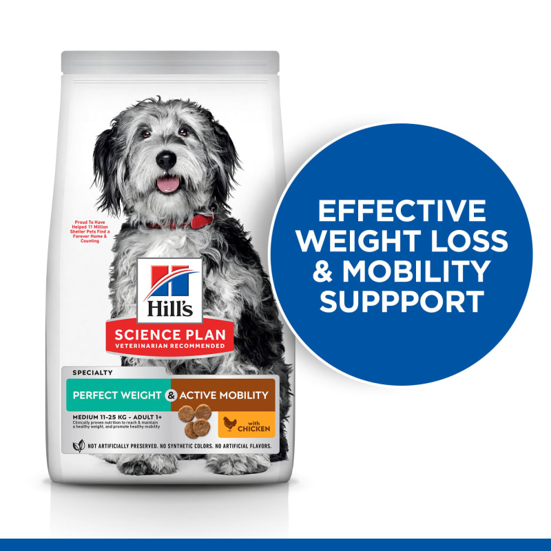 Hill's science diet dog food perfect weight top