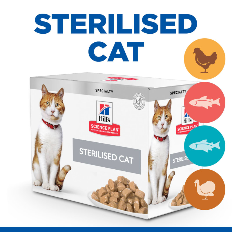 Hills sterilized cat outlet