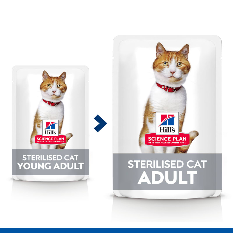Hills science plan sterilised cat store