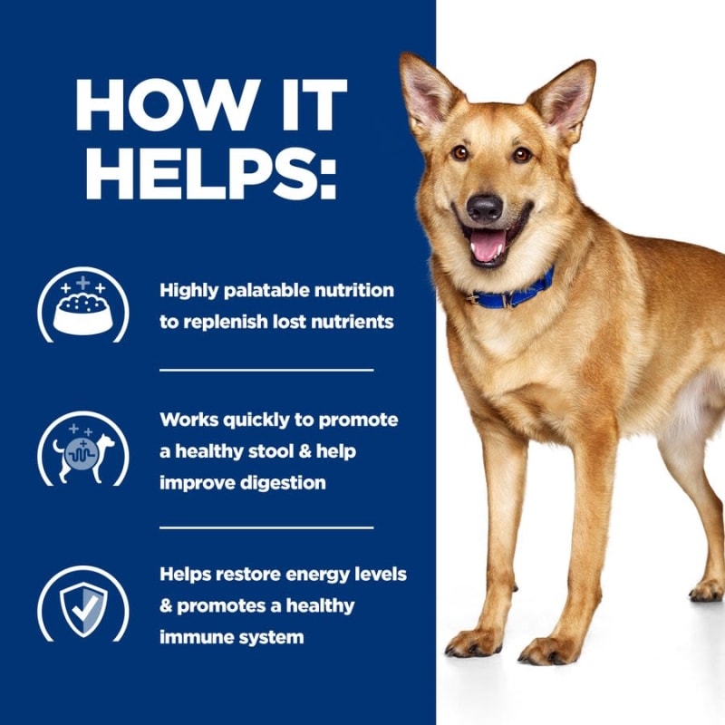 Prescription canned hot sale dog food