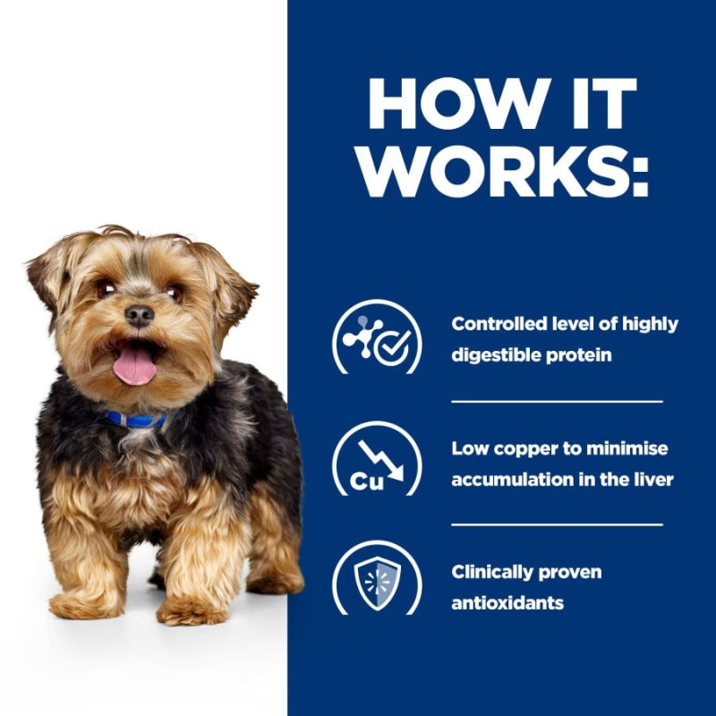 Hills liver store diet dog