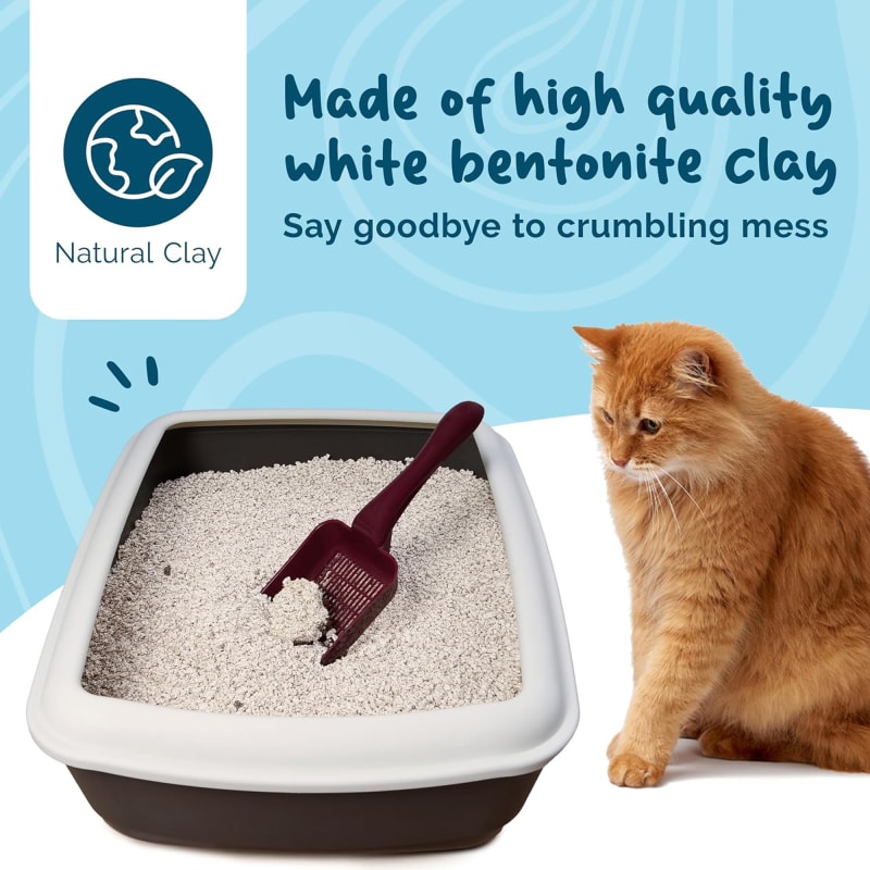 Clumping cat litter pets at home online