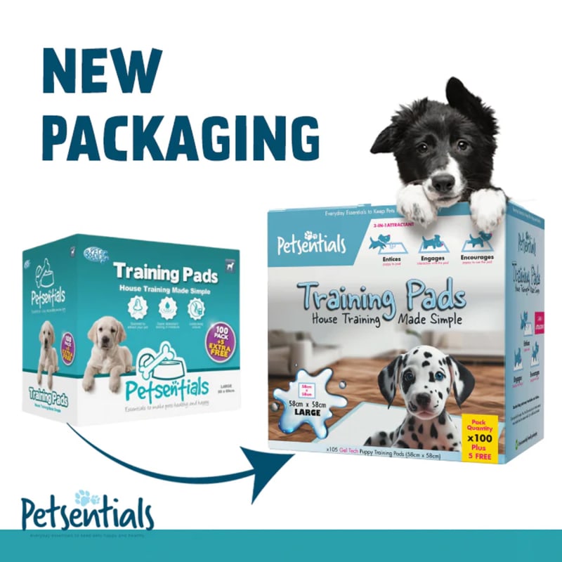 House training pads cheap