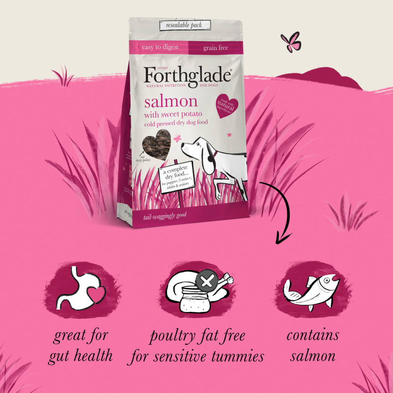 Forthglade salmon dog food discount