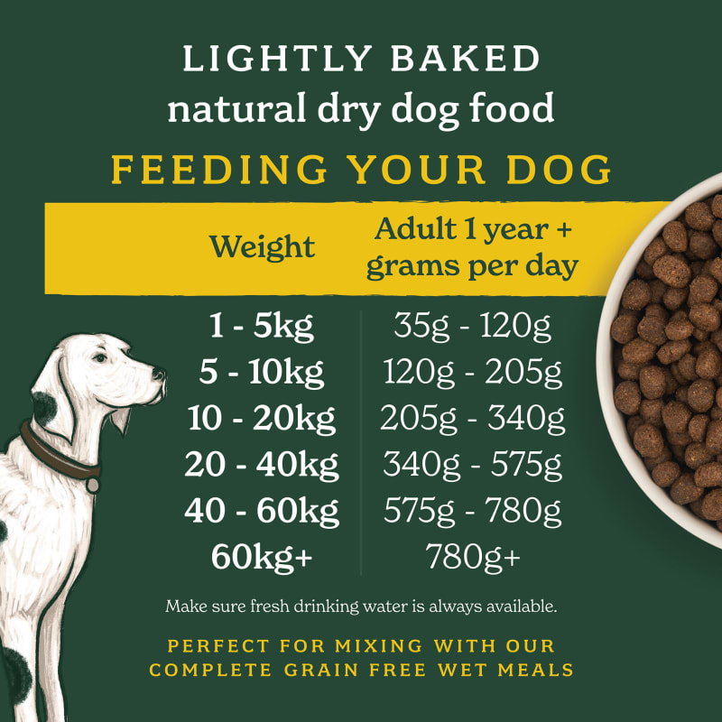 Natural dry cheap dog food