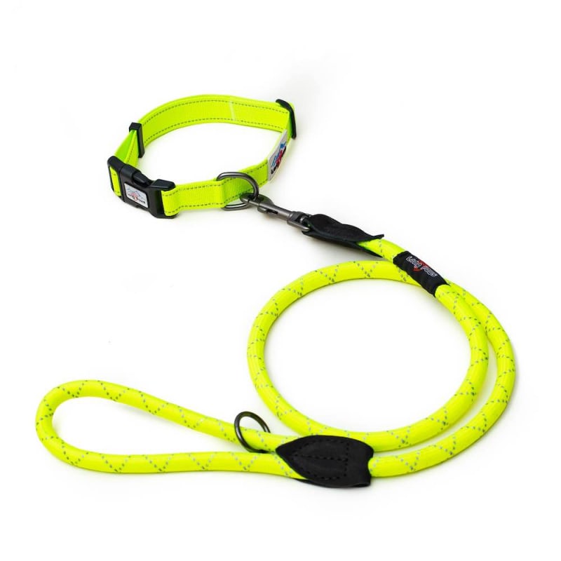Neon deals dog leash