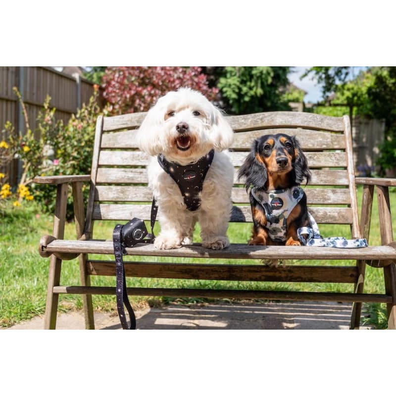 Long dog harness discount