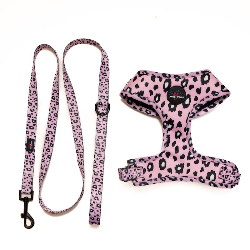 Leopard dog cheap harness