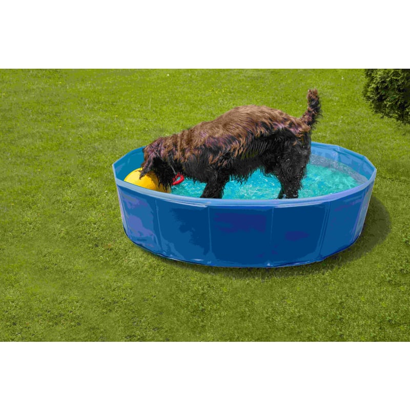 Pet Swimming Pool Pet Supermarket