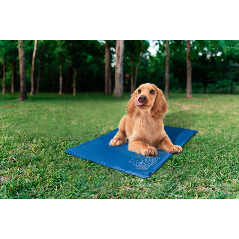Dog cooling mat online