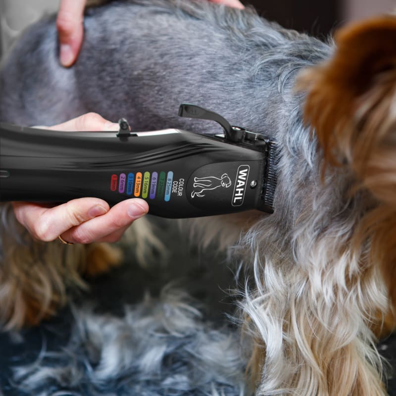 Wahl colour sales clipper