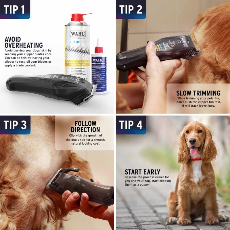 Dog clippers clearance