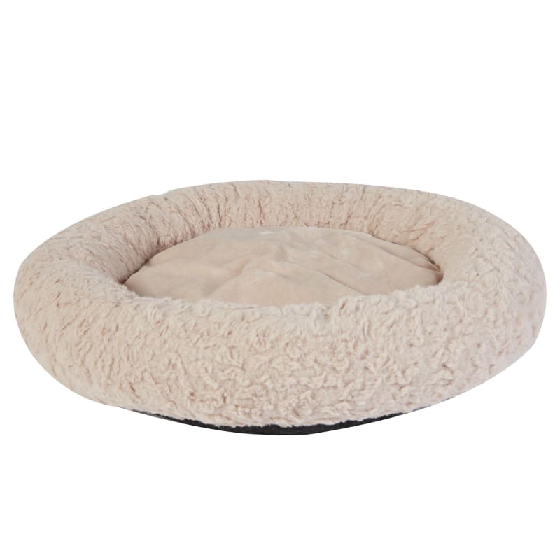 Kong dog bed petco shop