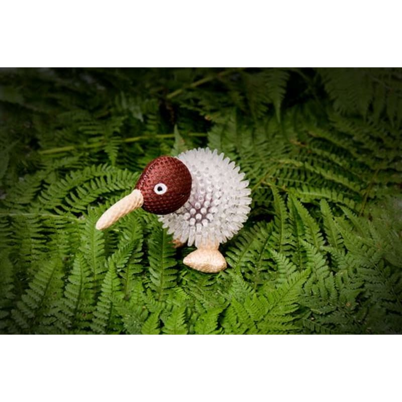Kiwi 2025 dog toy