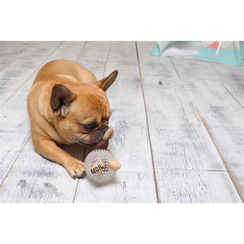 Kiwi dog toy discount