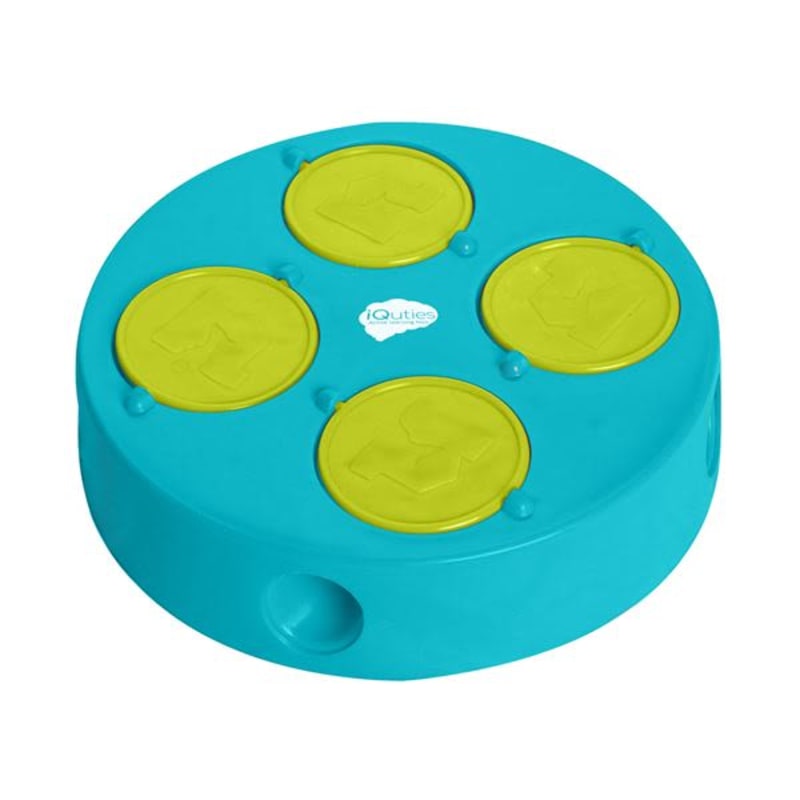 Dog outlet iq toys