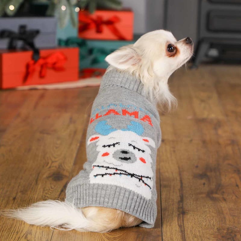Whimsical Llama Dog Jumper Pet Supermarket