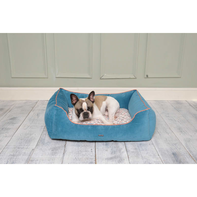 Pet supermarket 2025 dog beds