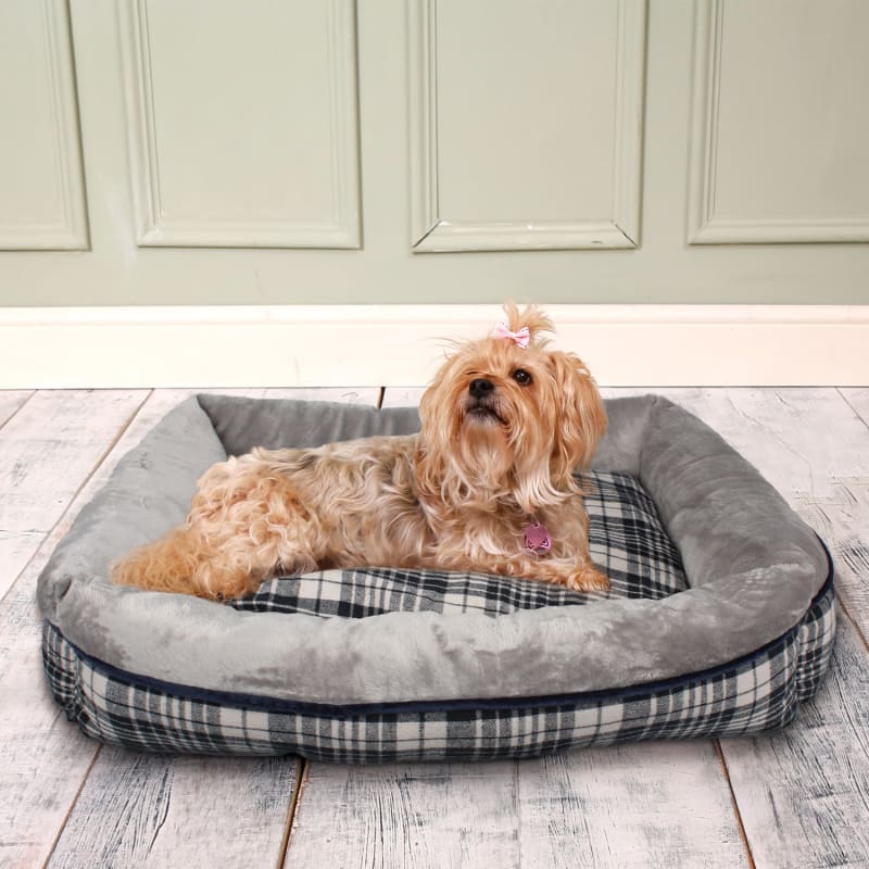 Boy dog beds discount