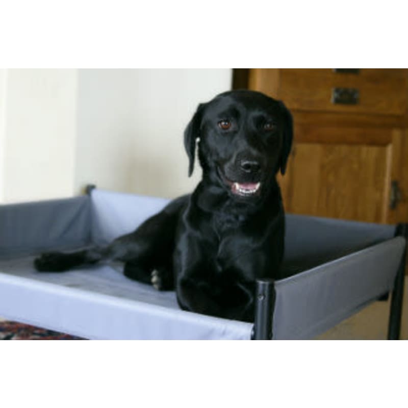Henry Wag Elevated Grey Dog Bed Pet Supermarket