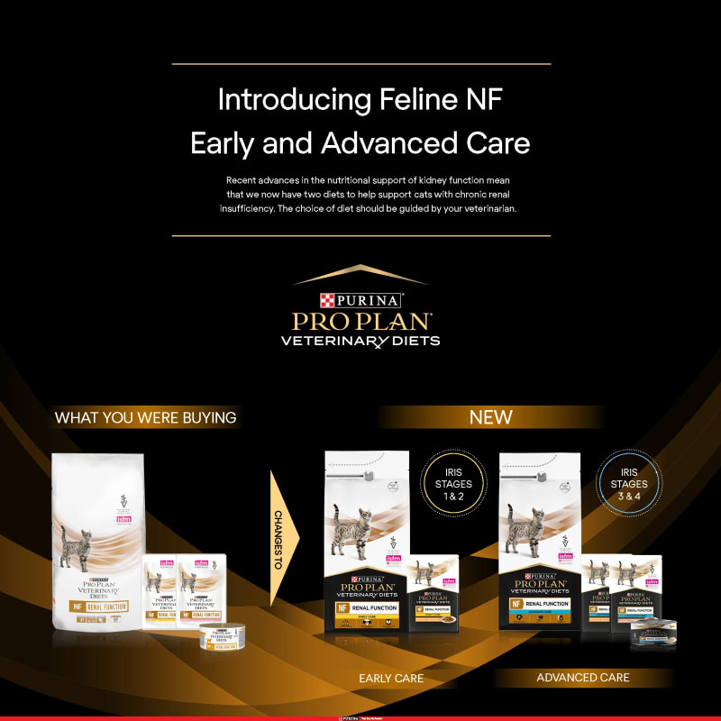 Nf renal function cheap