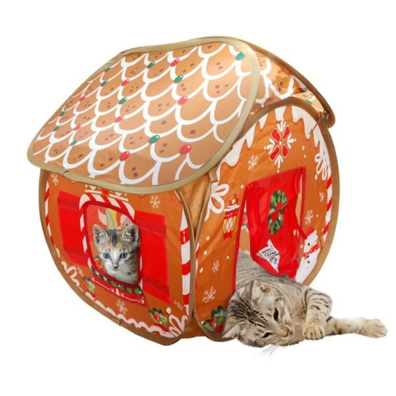 Kong shop cat house