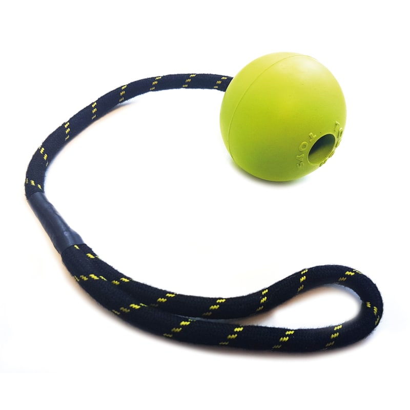 Dog ball on rope on sale