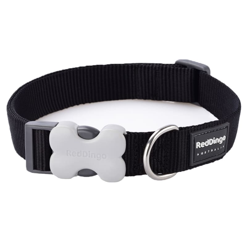 Red Dingo Plain Black Dog Collar Pet Supermarket