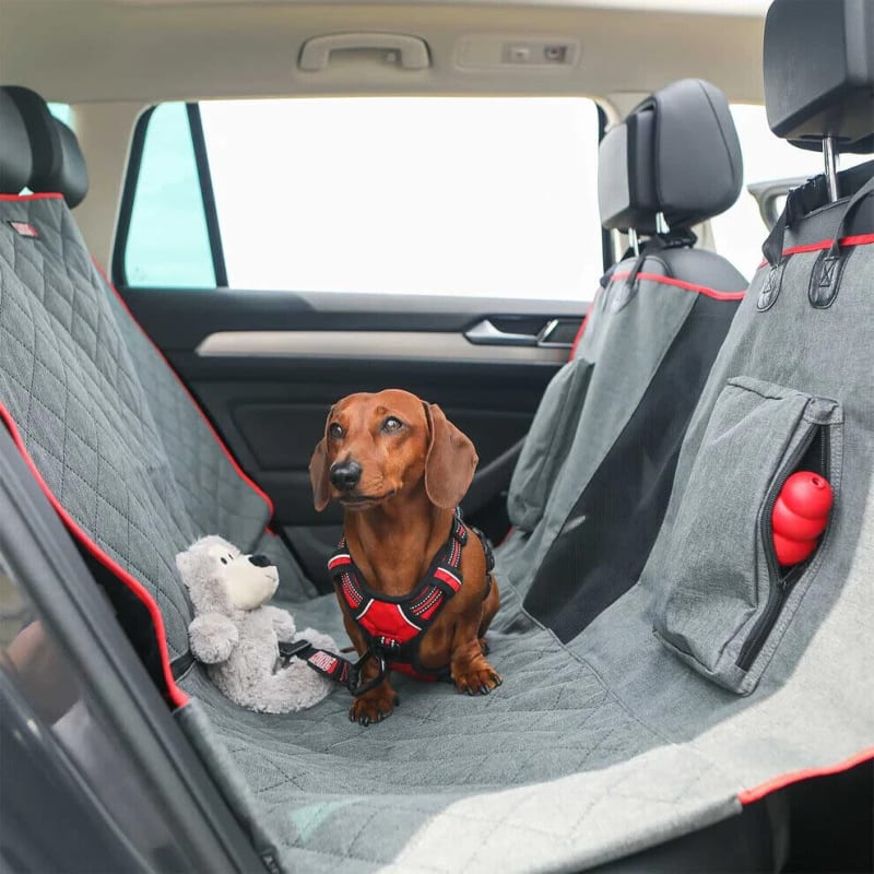 Chewy dog seat covers online
