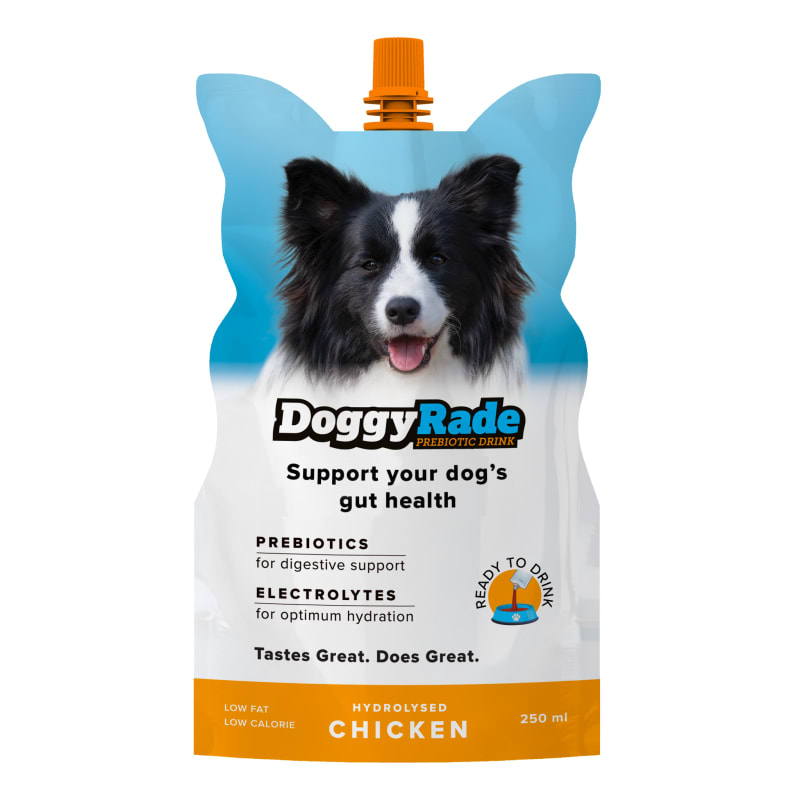 Prebiotic foods for dogs 2025