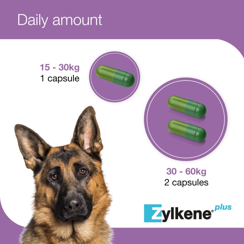 Dog calming tablets zylkene clearance
