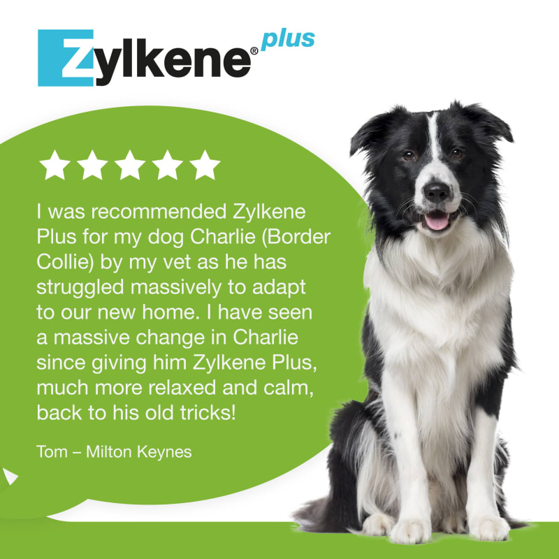 Pets at home zylkene clearance