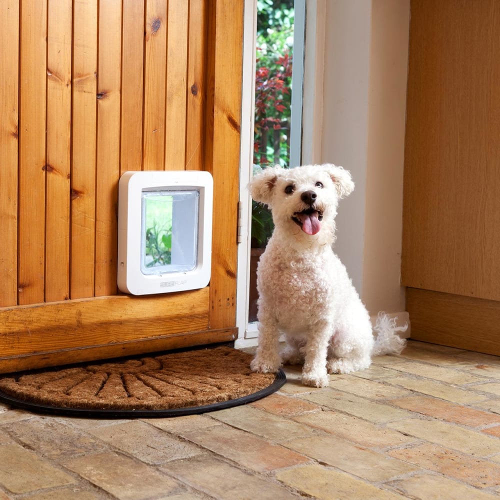 Sureflap dog door discount