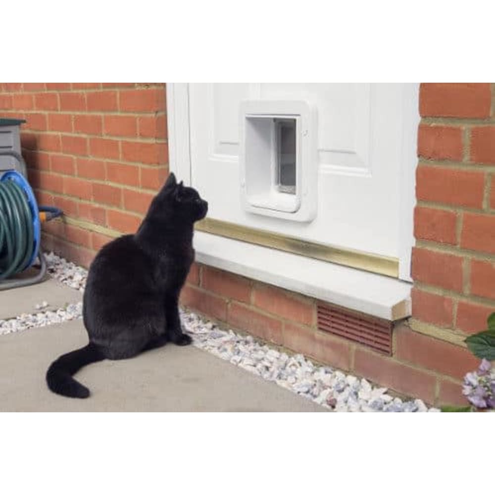 Cat door connect cheap
