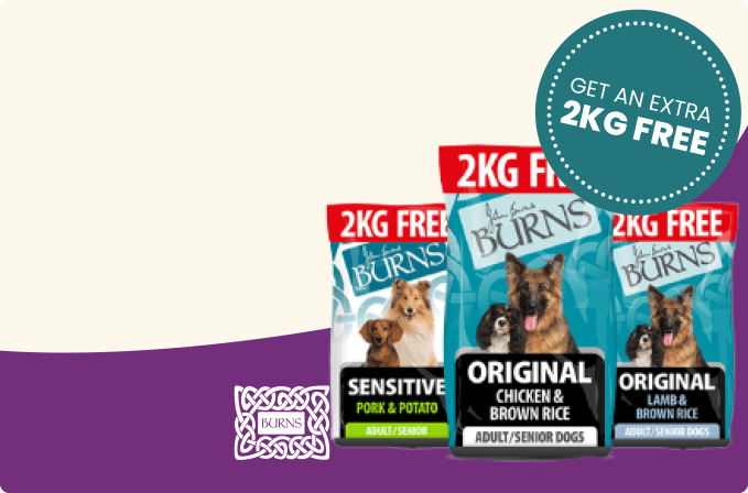 Pet supermarket shop dog tags