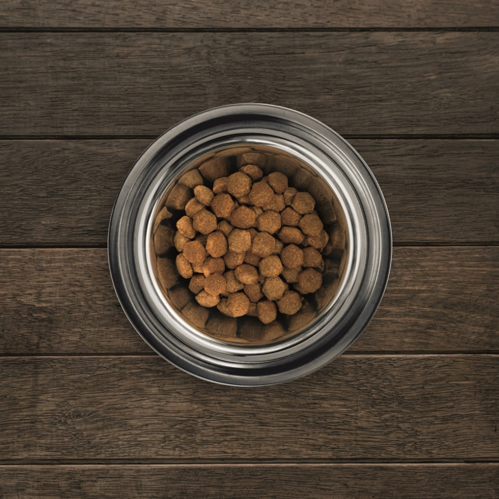 eukanuba kibble