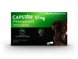 Cheapest flea prevention for dogs online
