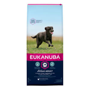 Eukanuba breed clearance specific labrador