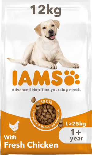Iams for Vitality Large Adult Dry Pet Supermarket