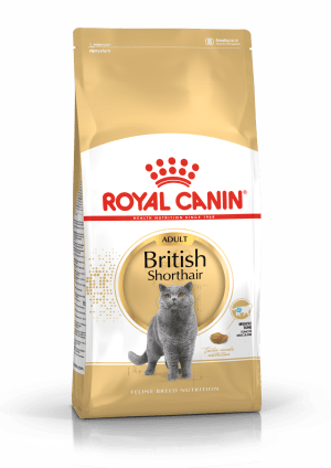 Royal canin persian kitten food top