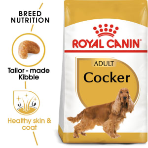 Royal canin cavalier online king charles puppy