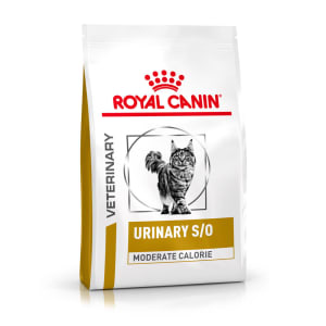 Royal canin sale adult pv