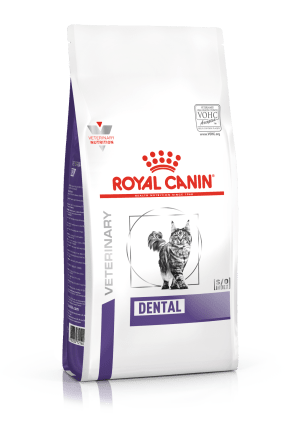 Royal canin dental discount treats